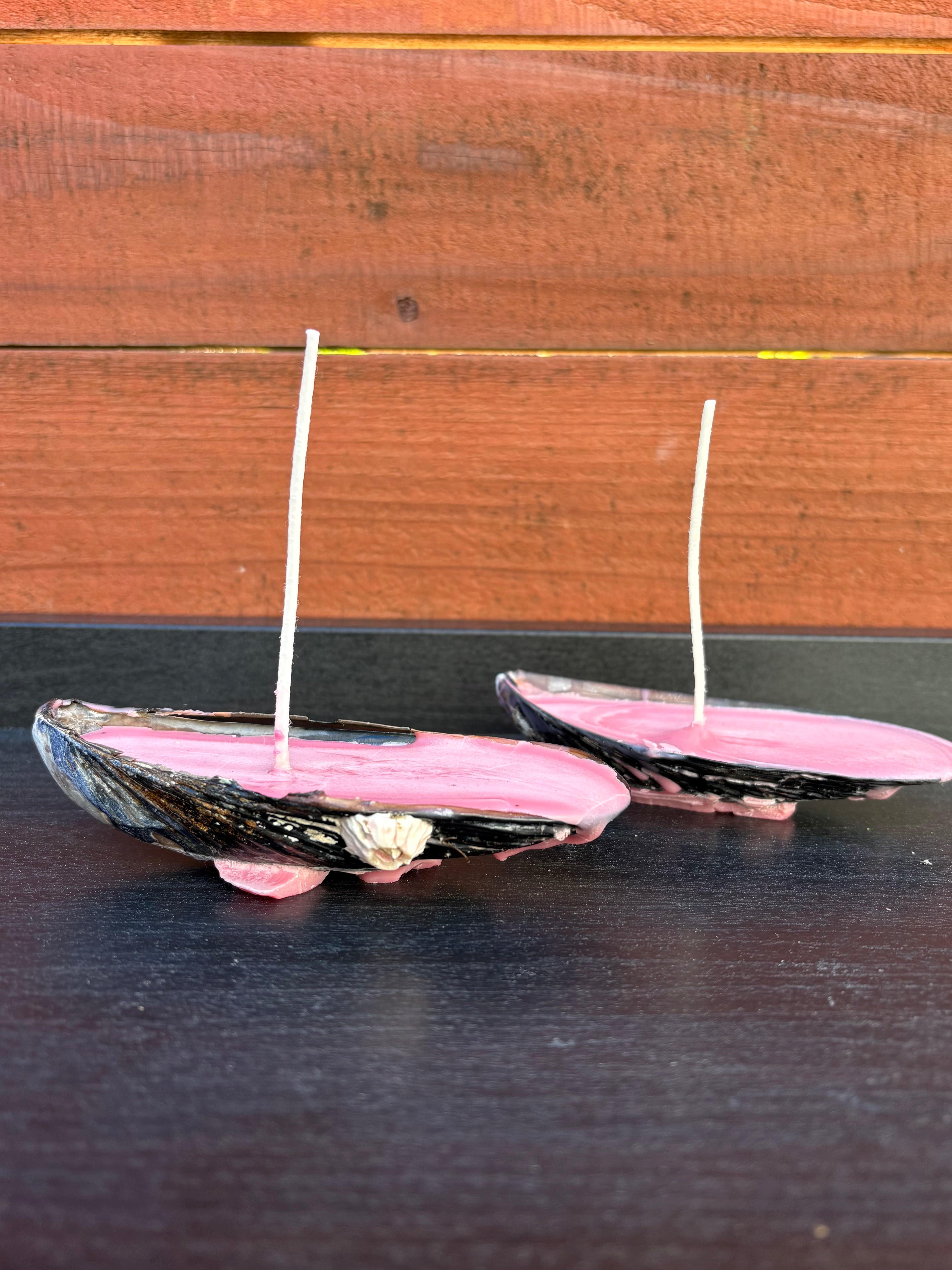 Natural Mussel Shell Candle - Coastal Decor