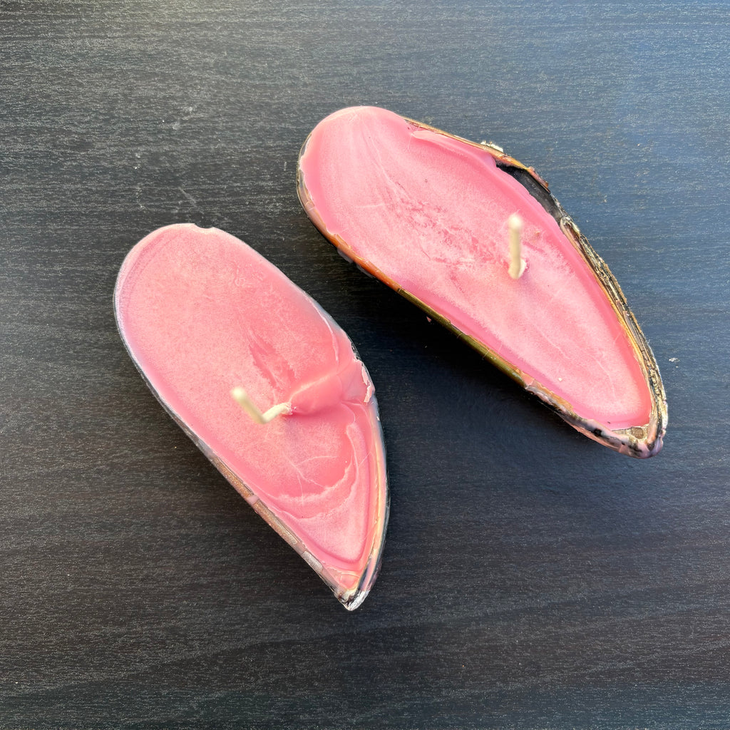 Natural Mussel Shell Candle - Coastal Decor