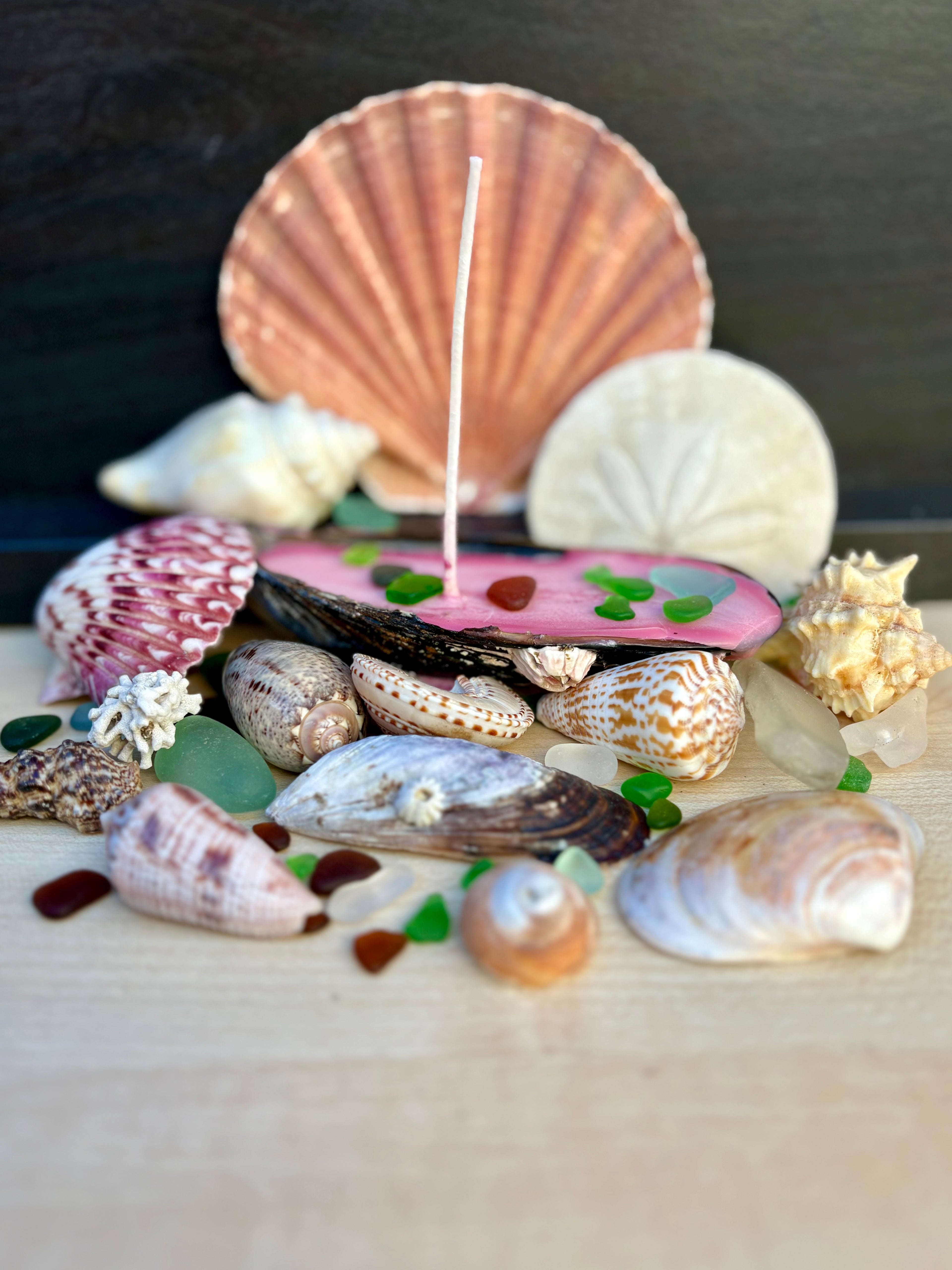 Natural Mussel Shell Candle - Coastal Decor