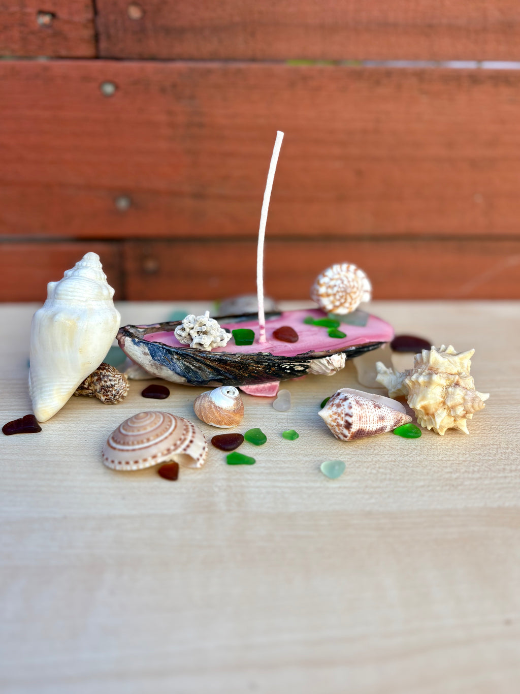 Natural Mussel Shell Candle - Coastal Decor