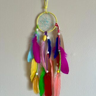 Carnival Brights Dream Catcher with Multicolor Feathers & Beads