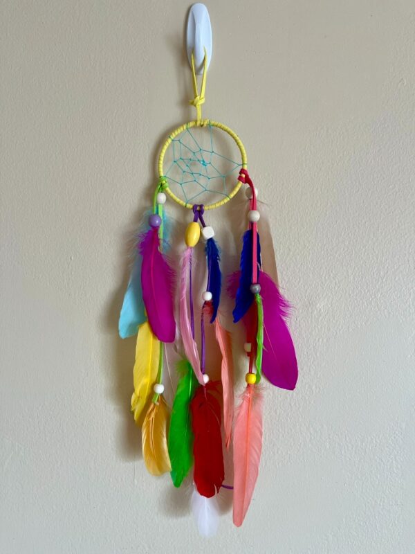 Carnival Brights Dream Catcher with Multicolor Feathers & Beads